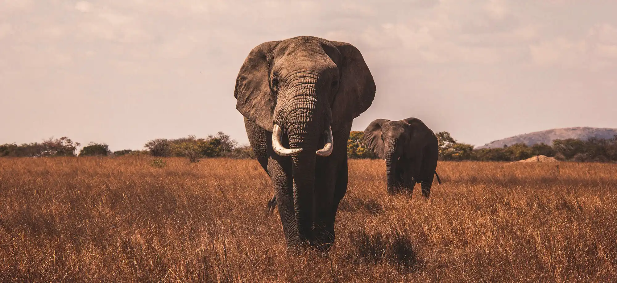 Tanzania