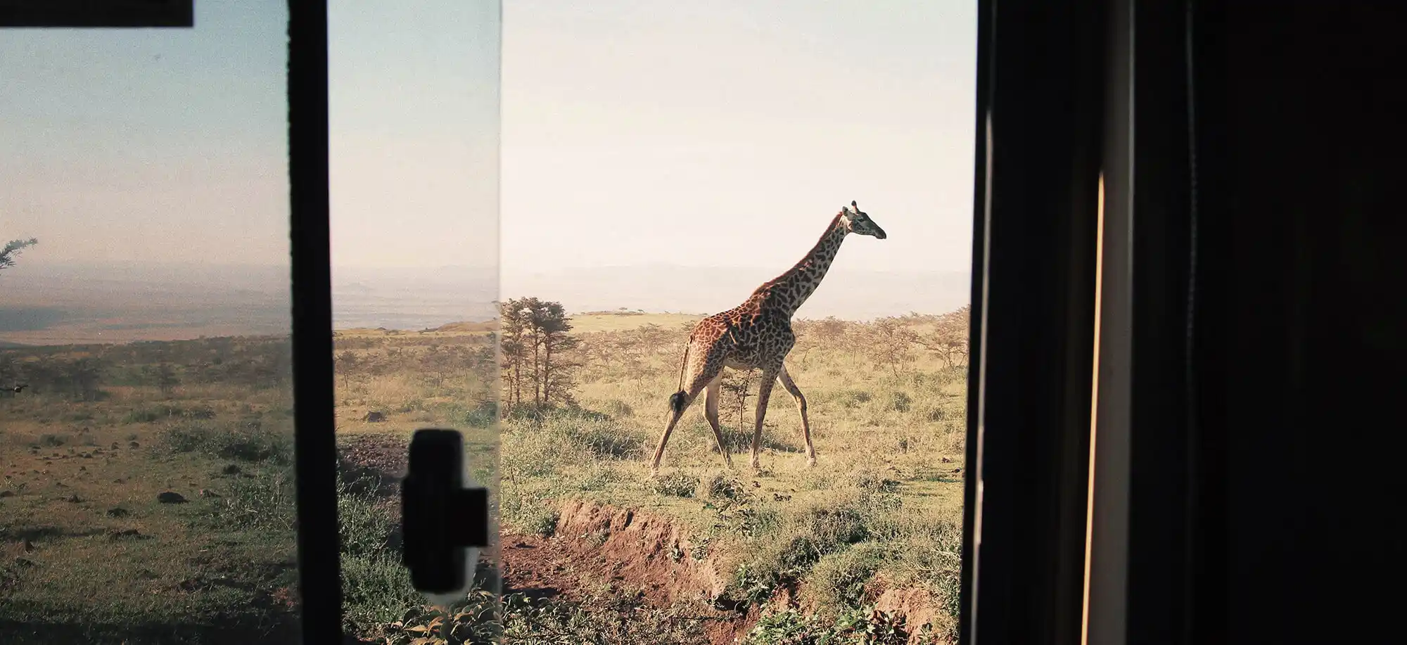 Safaris