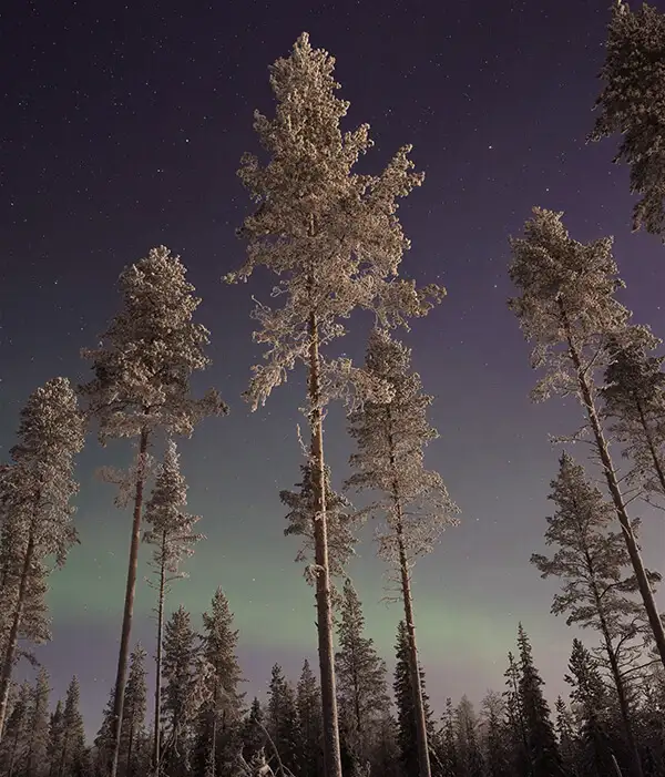 Finlandia