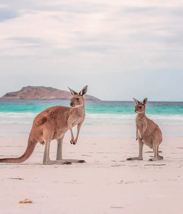 Australia