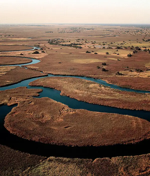 Viajes al Delta del Okavango