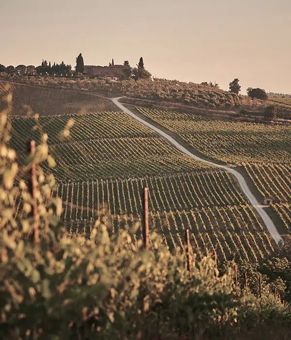 La Toscana