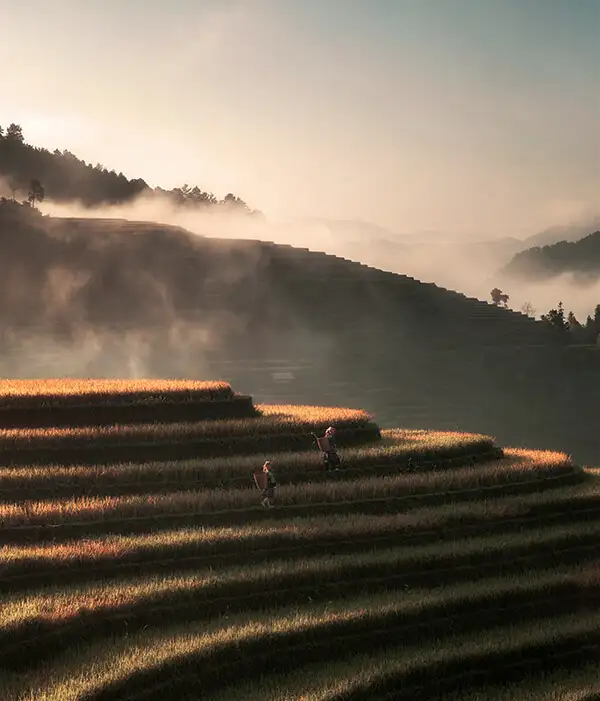 Vietnam
